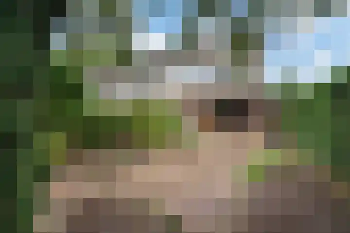 Rademakersdonk 719 Apeldoorn thumbnail 28