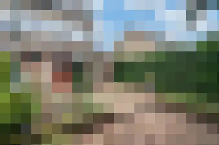 Rademakersdonk 719 Apeldoorn thumbnail 29
