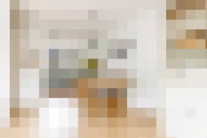 Rademakersgilde 122 Houten thumbnail 14