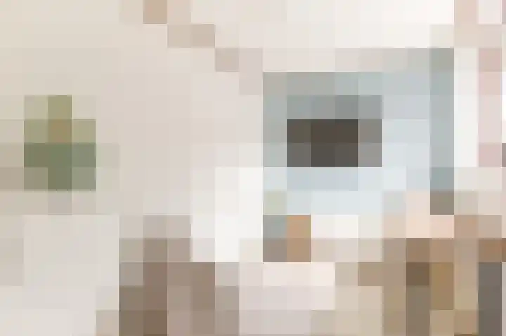 Rademakersgilde 122 Houten thumbnail 22