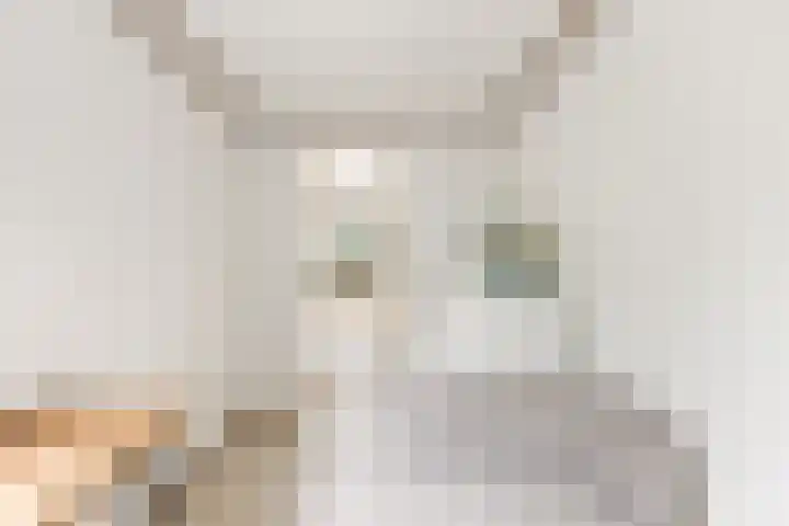 Rademakersgilde 122 Houten thumbnail 23