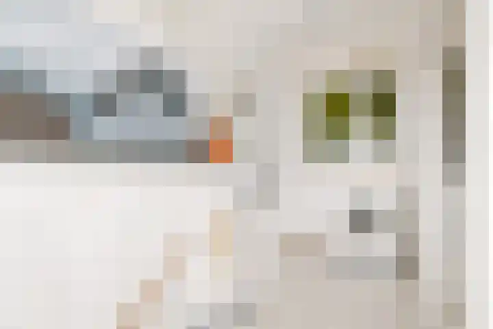 Rademakersgilde 122 Houten thumbnail 36