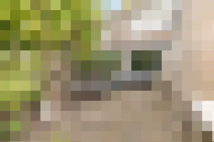 Rademakersgilde 122 Houten thumbnail 43