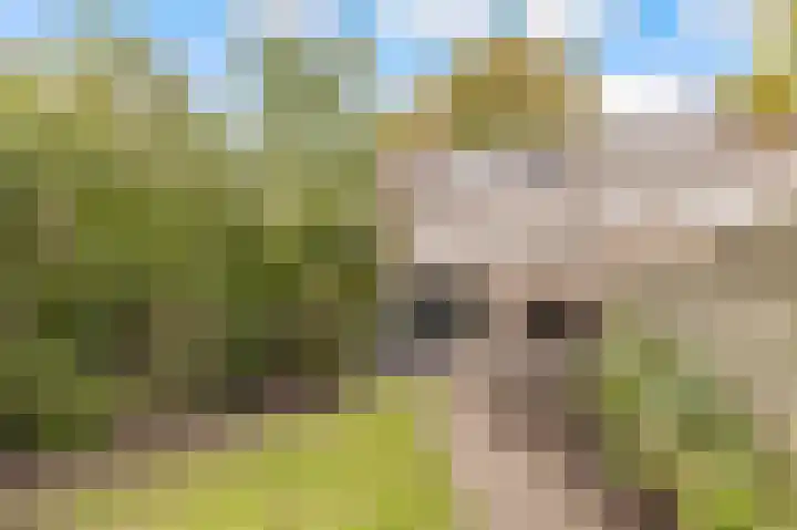 Rademakersgilde 122 Houten thumbnail 44