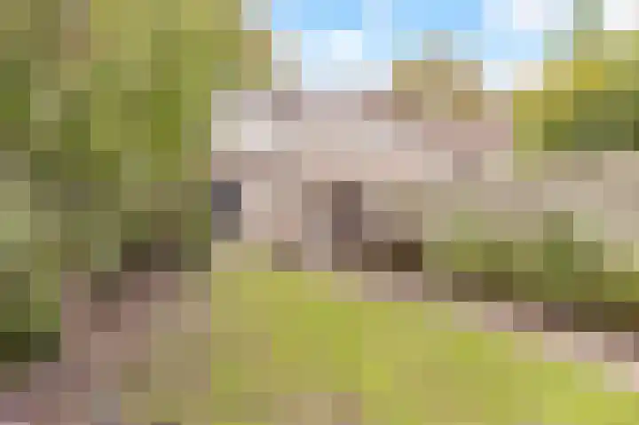 Rademakersgilde 122 Houten thumbnail 46