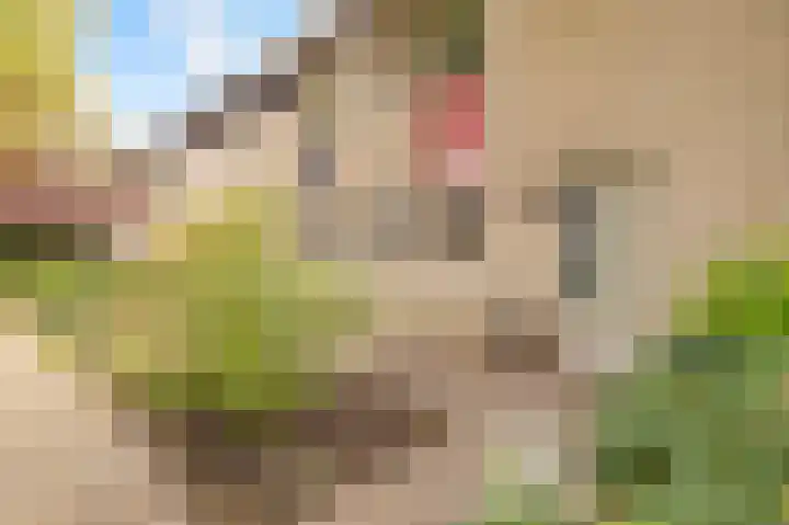 Rademakersgilde 122 Houten thumbnail 5