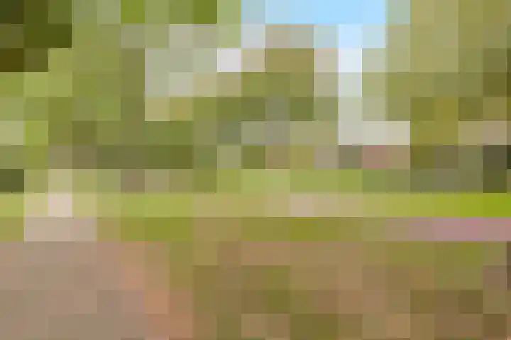 Rademakersgilde 122 Houten thumbnail 55