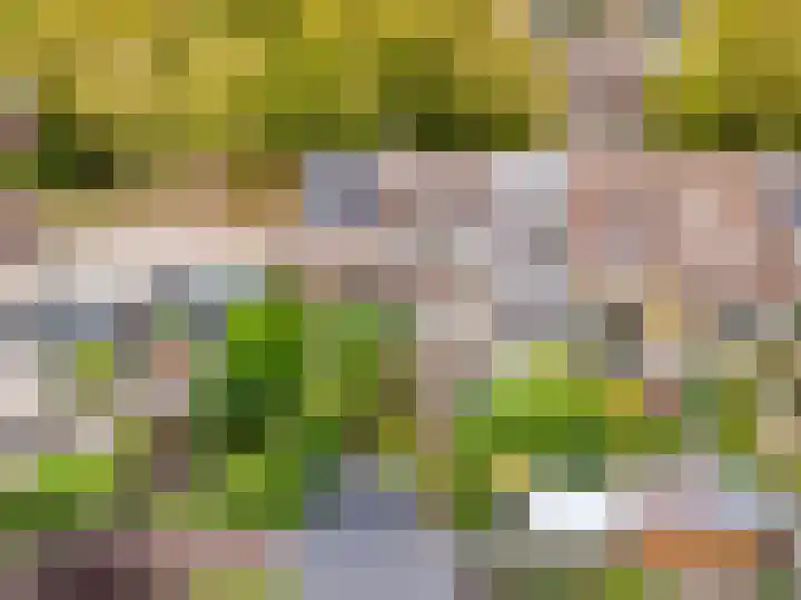 Rademakersgilde 122 Houten thumbnail 56