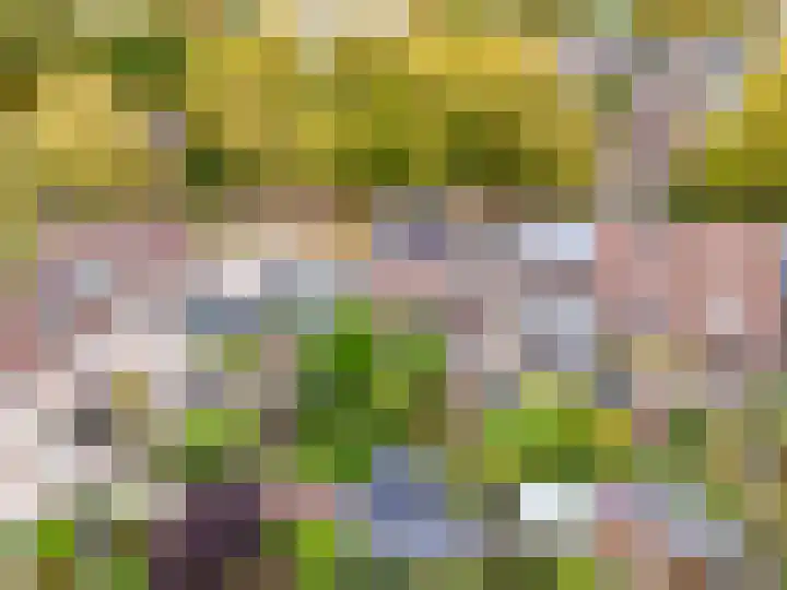 Rademakersgilde 122 Houten thumbnail 57