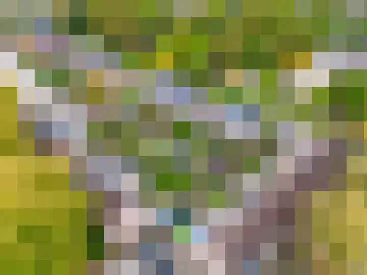 Rademakersgilde 122 Houten thumbnail 60