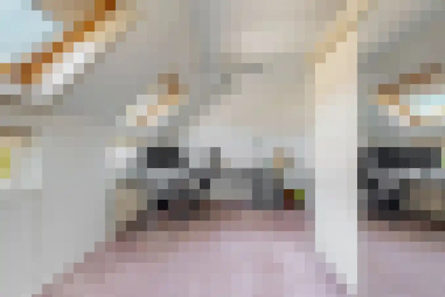 Rademakersgilde 129 Houten thumbnail 14