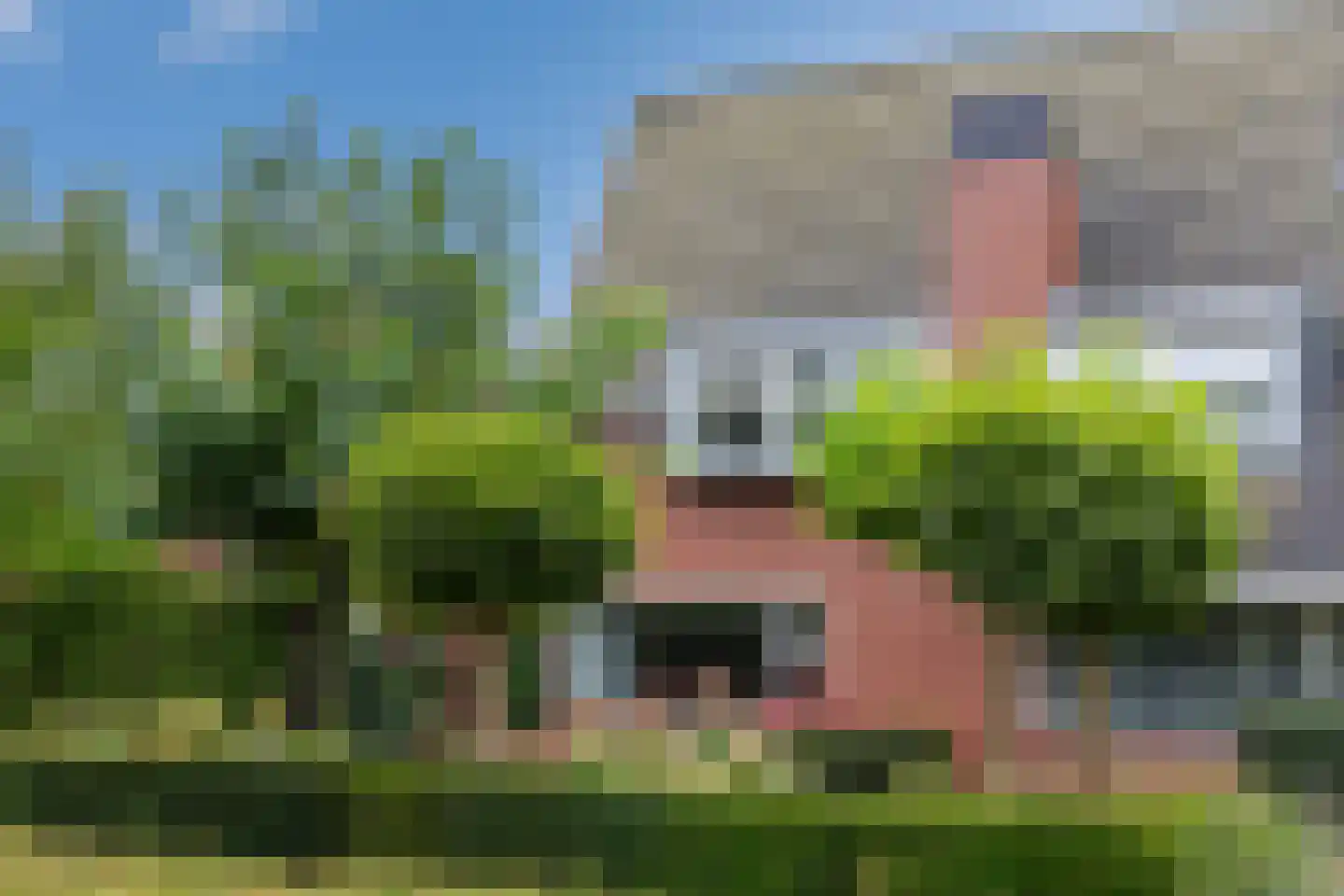 Rademakershoeve 1 Hattem