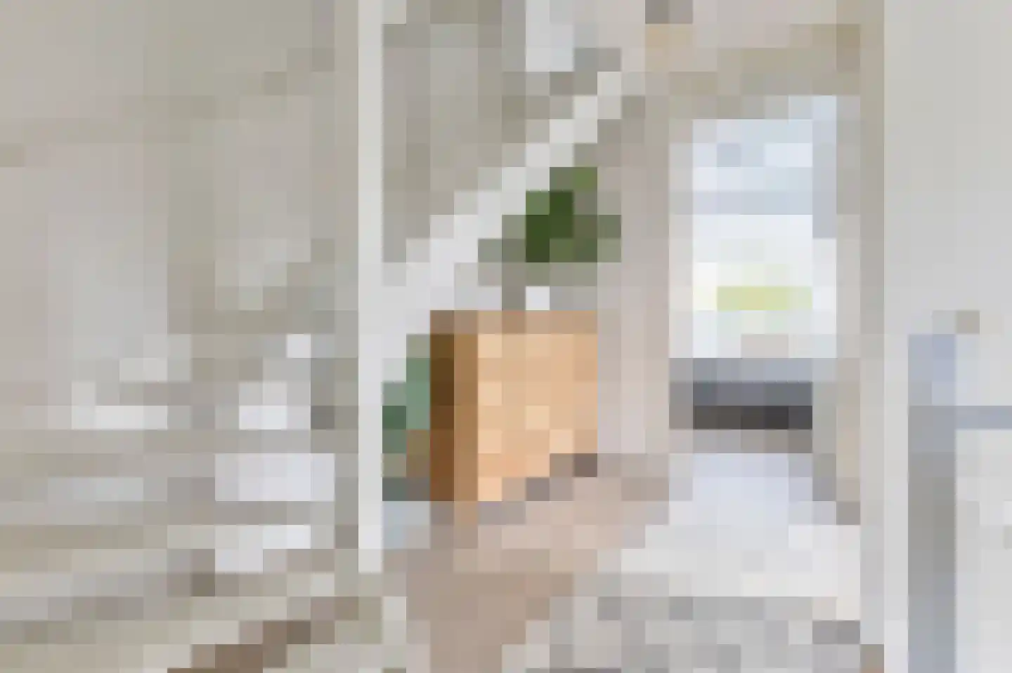 Rademakershoeve 1 Hattem thumbnail 26