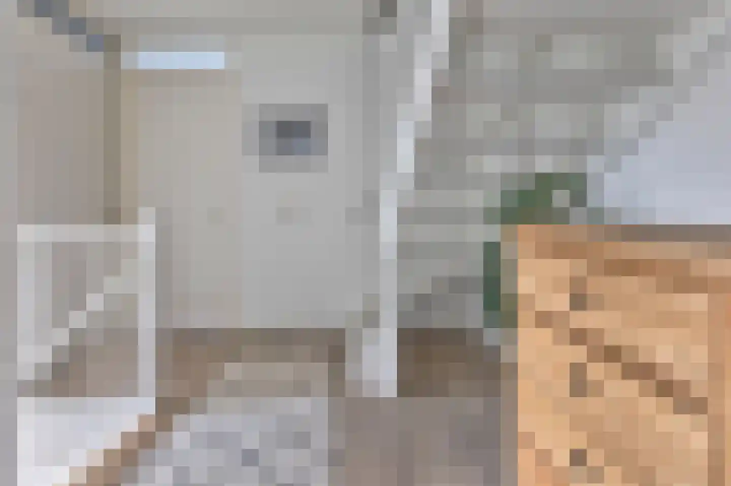 Rademakershoeve 1 Hattem thumbnail 27