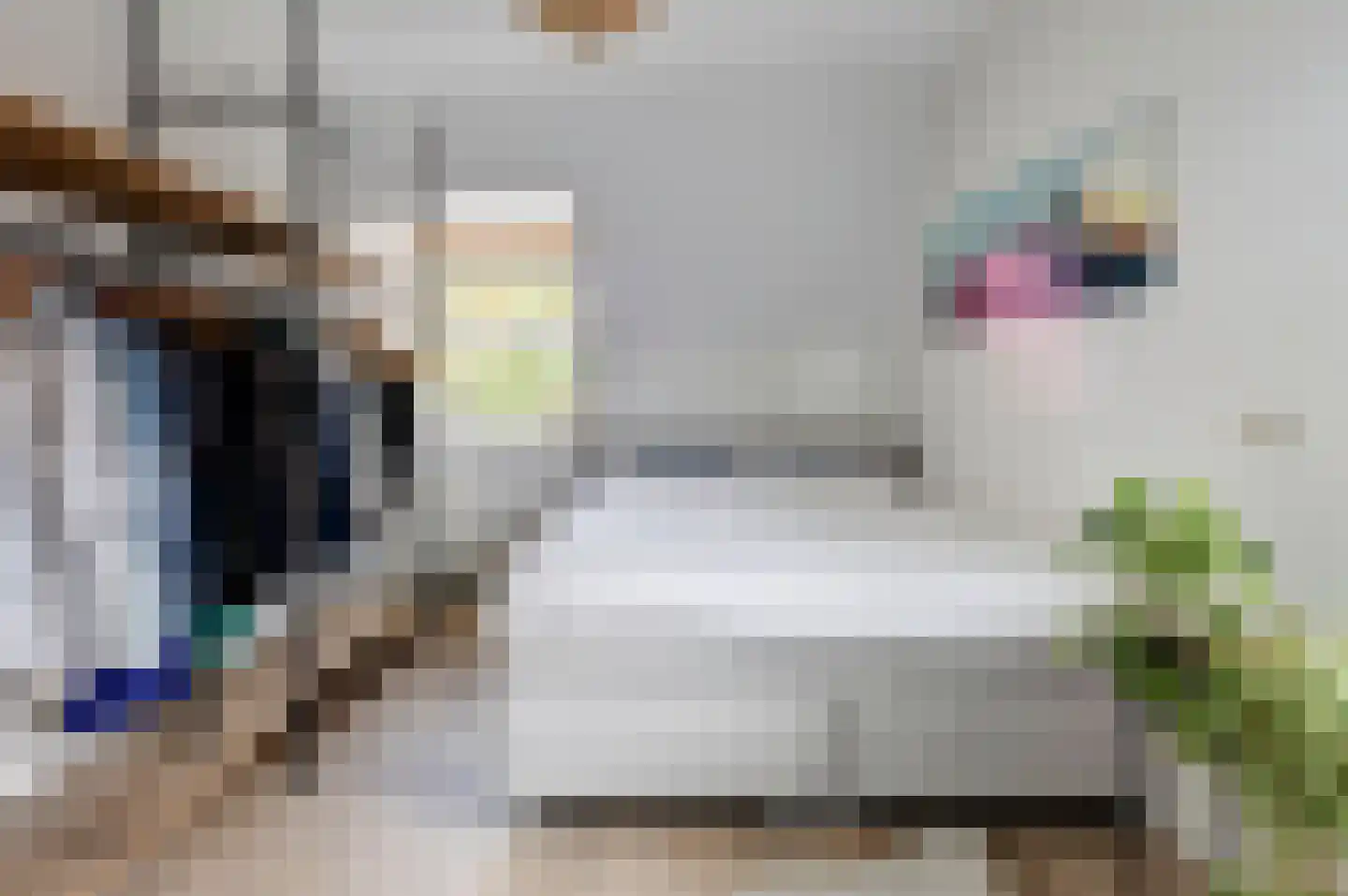 Rademakershoeve 1 Hattem thumbnail 34