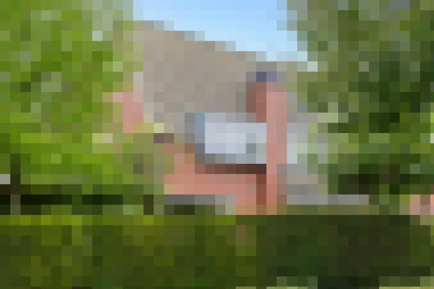 Rademakershoeve 1 Hattem thumbnail 4