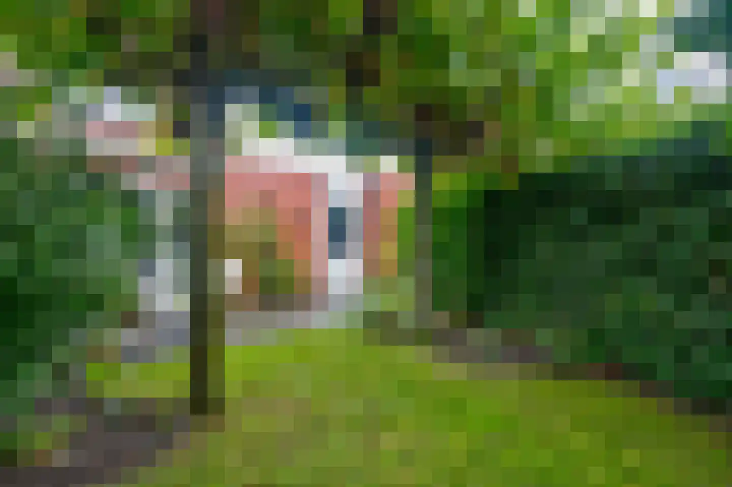 Rademakershoeve 1 Hattem thumbnail 43