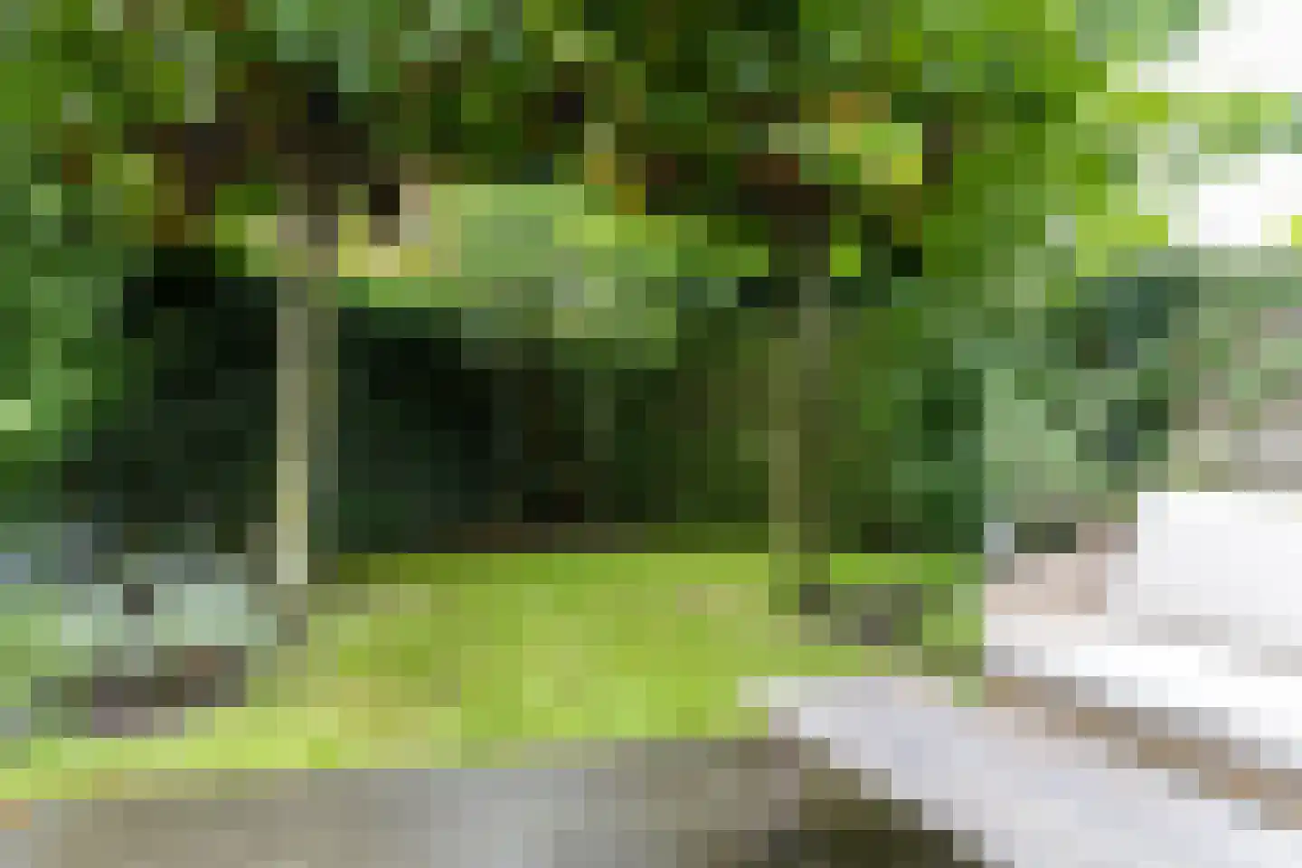 Rademakershoeve 1 Hattem thumbnail 44
