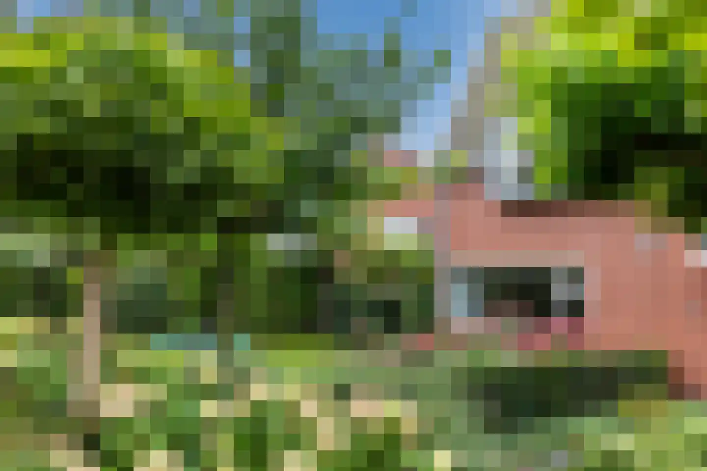 Rademakershoeve 1 Hattem thumbnail 47