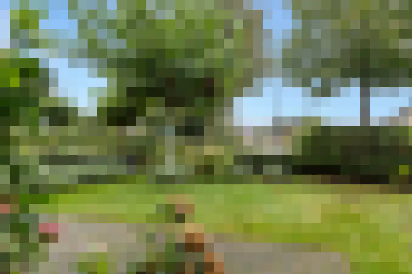 Rademakershoeve 1 Hattem thumbnail 49