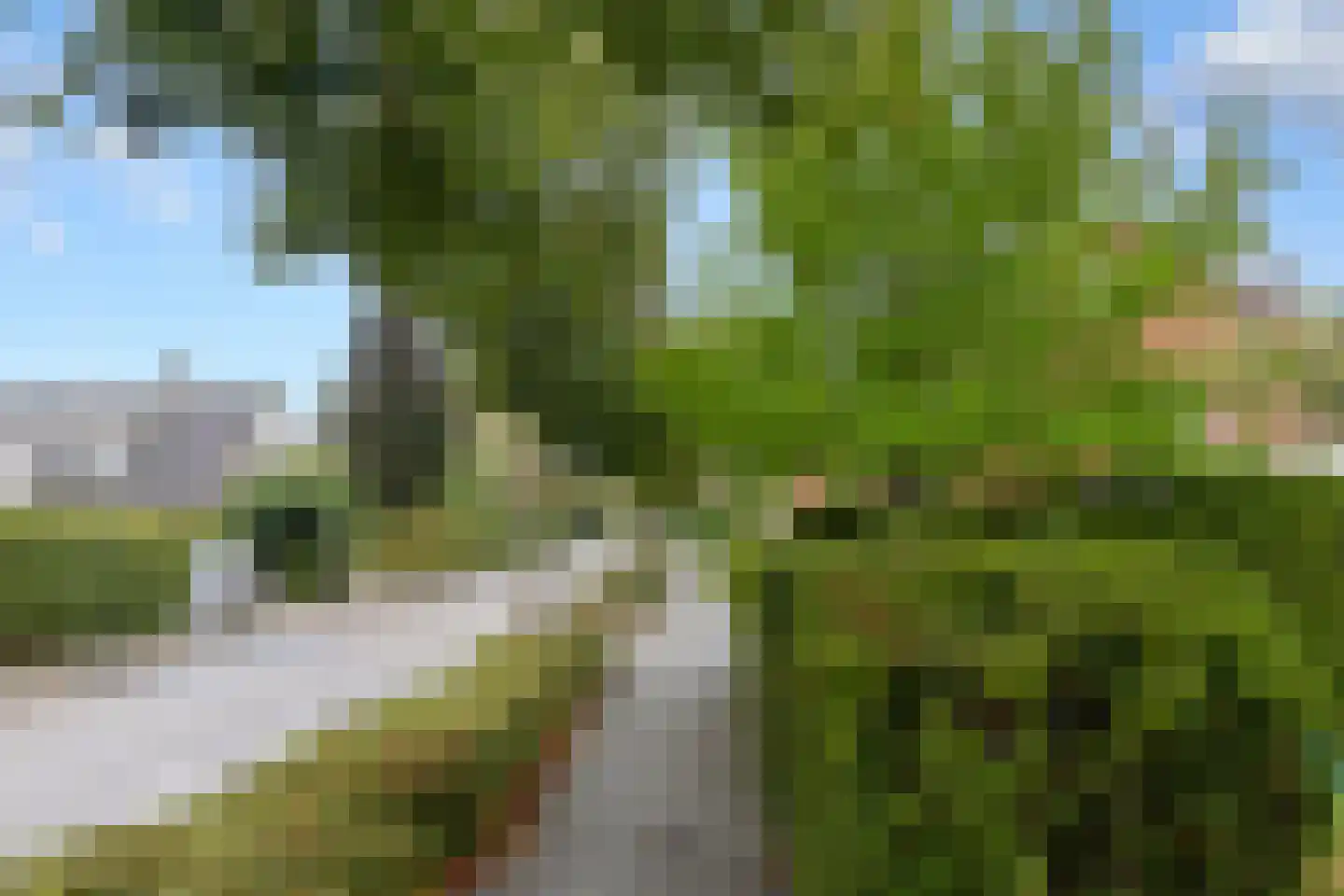 Rademakershoeve 1 Hattem thumbnail 53