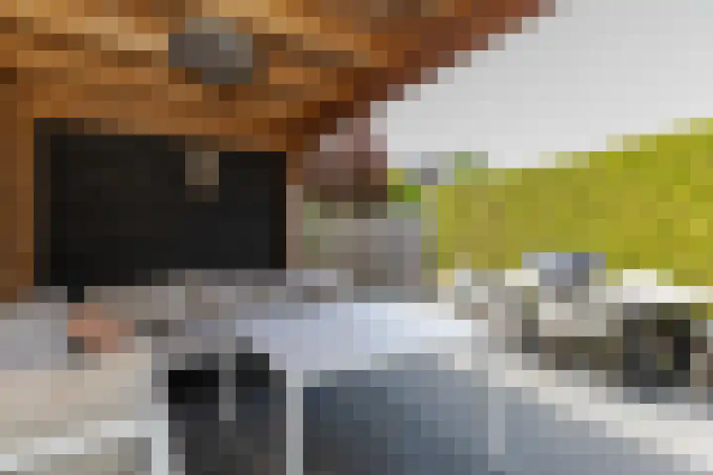 Rademakershoeve 17 Hattem thumbnail 24