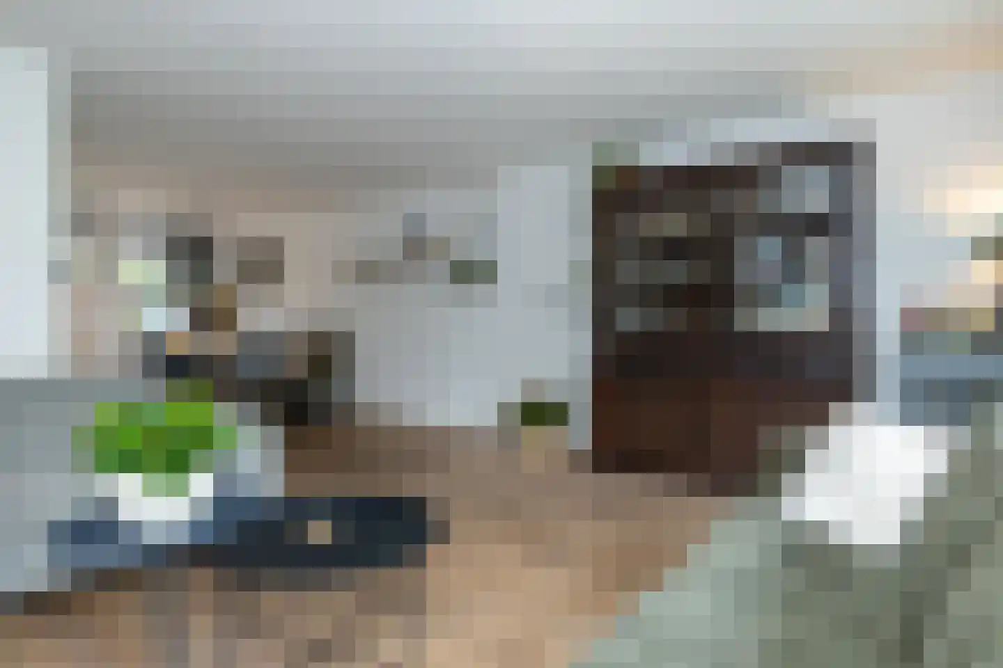 Rademakershoeve 2 Hattem thumbnail 10