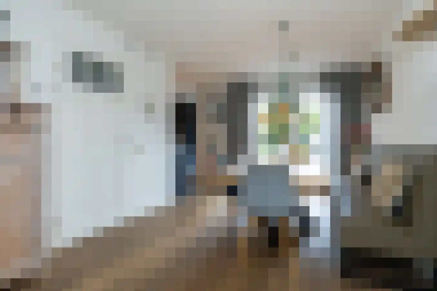 Rademakershoeve 2 Hattem thumbnail 12