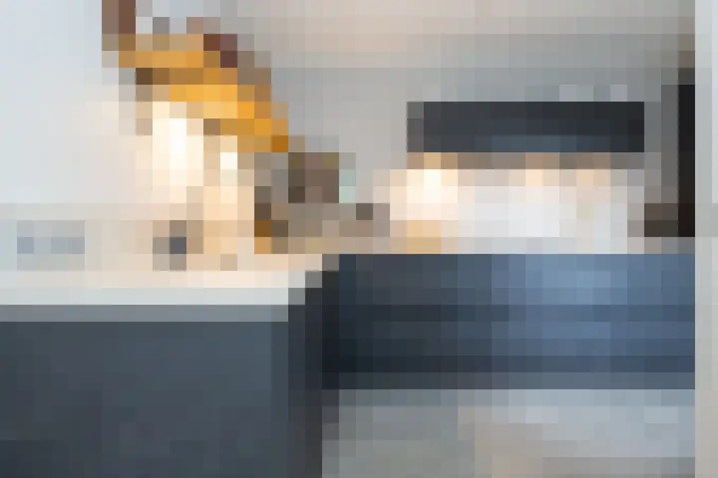 Rademakershoeve 2 Hattem thumbnail 15