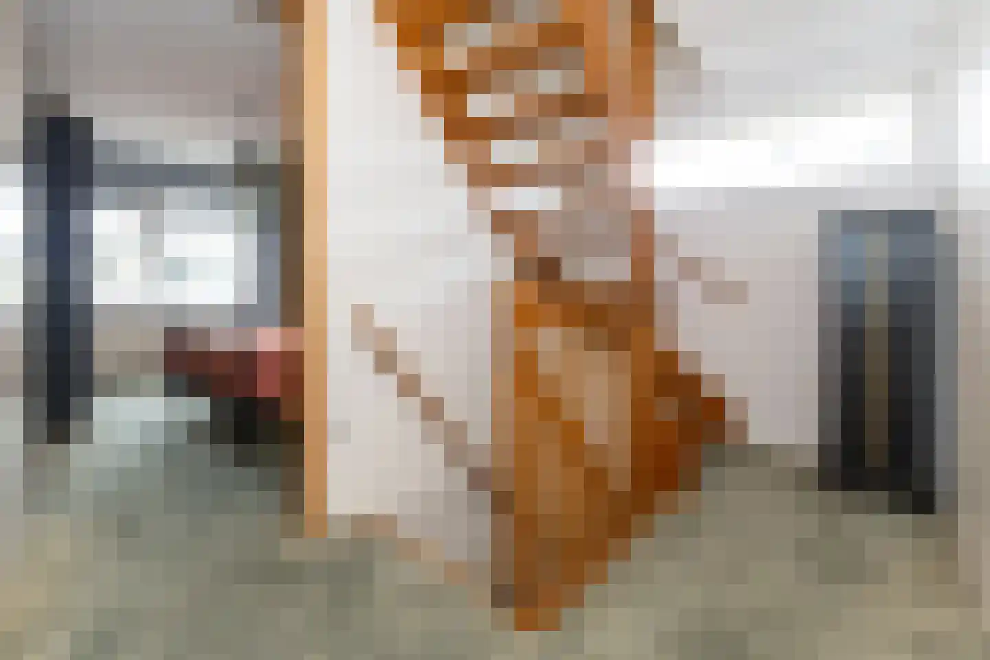 Rademakershoeve 2 Hattem thumbnail 18