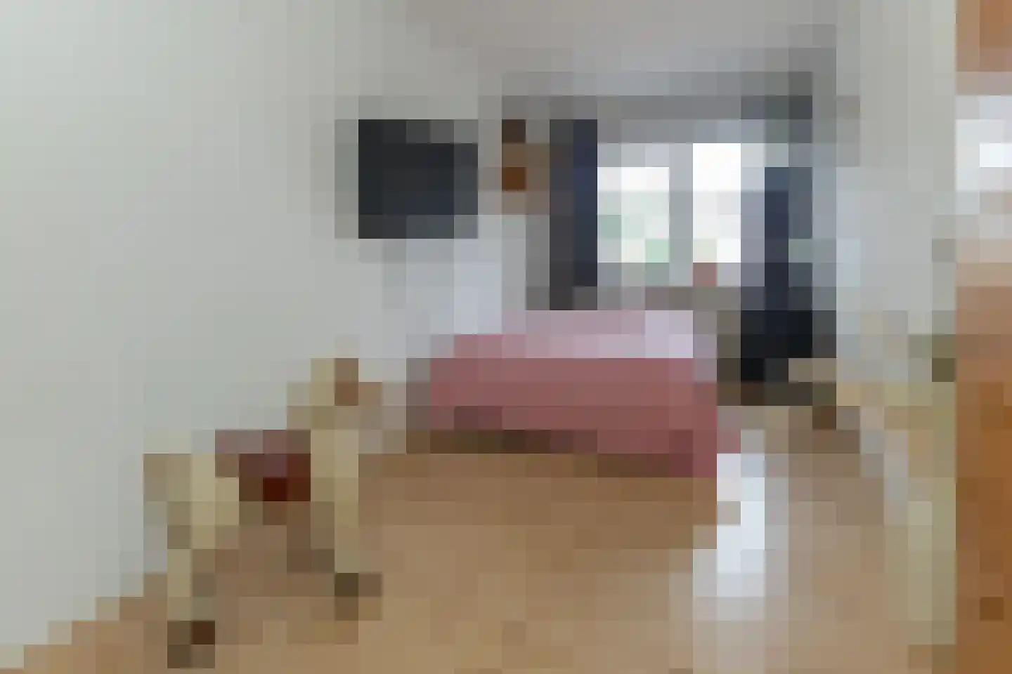 Rademakershoeve 2 Hattem thumbnail 23