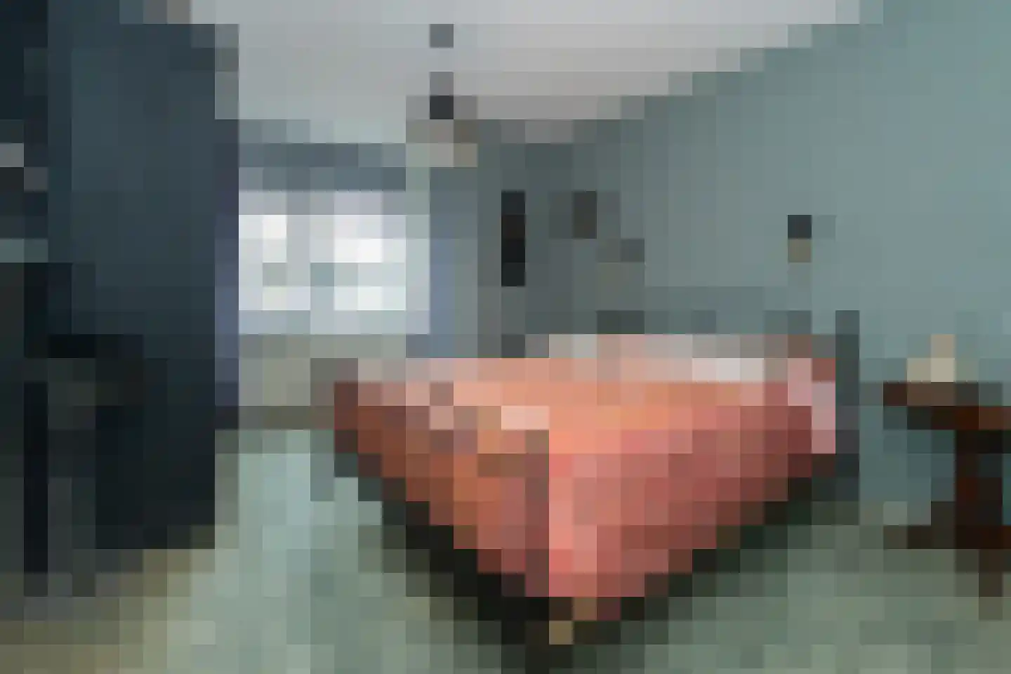 Rademakershoeve 2 Hattem thumbnail 24