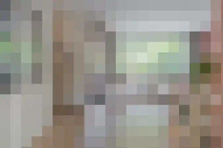 Rademakershoeve 49 Hattem thumbnail 11