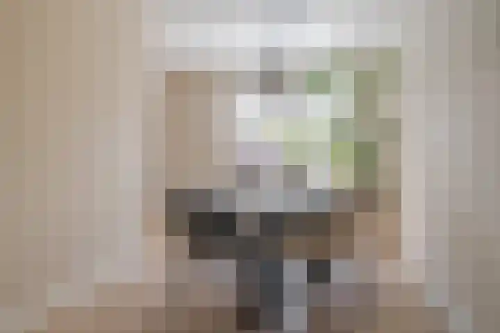 Rademakershoeve 49 Hattem thumbnail 17