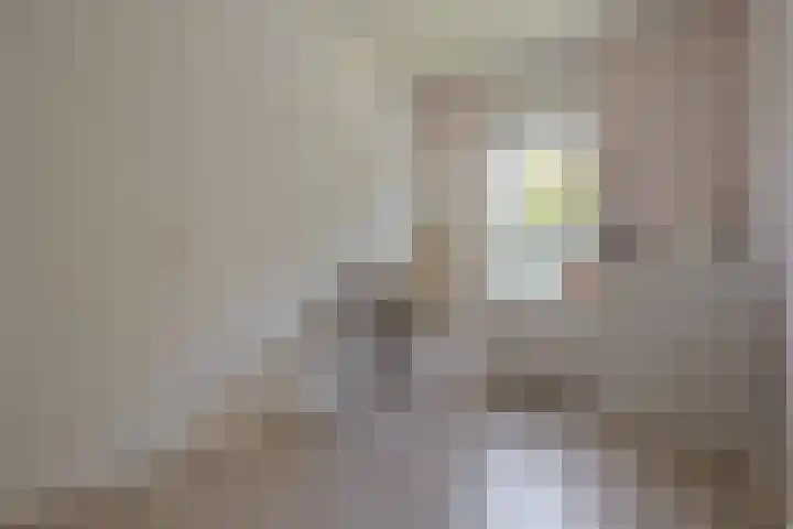 Rademakershoeve 49 Hattem thumbnail 36