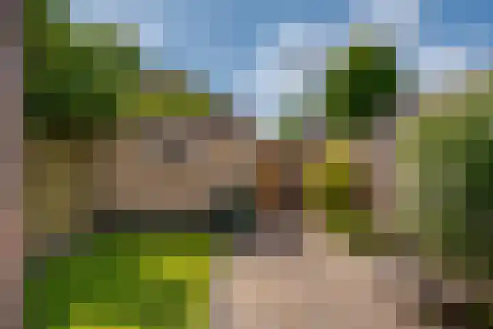 Rademakershoeve 49 Hattem thumbnail 4
