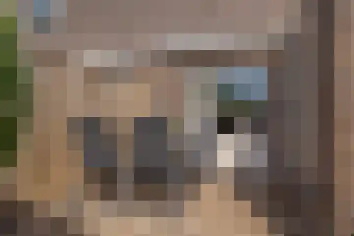 Rademakershoeve 49 Hattem thumbnail 41