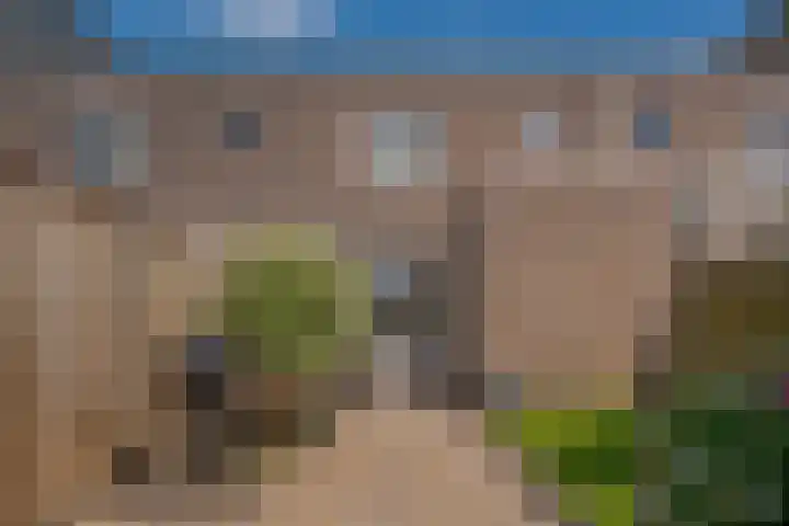 Rademakershoeve 49 Hattem thumbnail 43