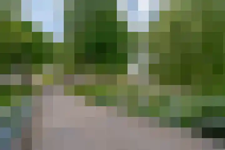 Rademakershoeve 49 Hattem thumbnail 49