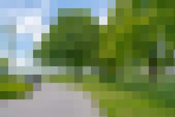 Rademakershoeve 49 Hattem thumbnail 6