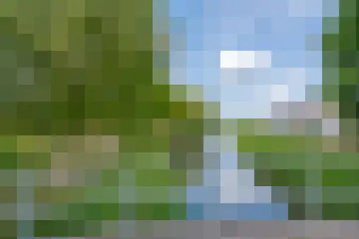 Rademakershoeve 49 Hattem thumbnail 7