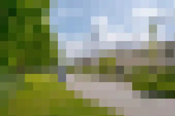 Rademakershoeve 49 Hattem thumbnail 8