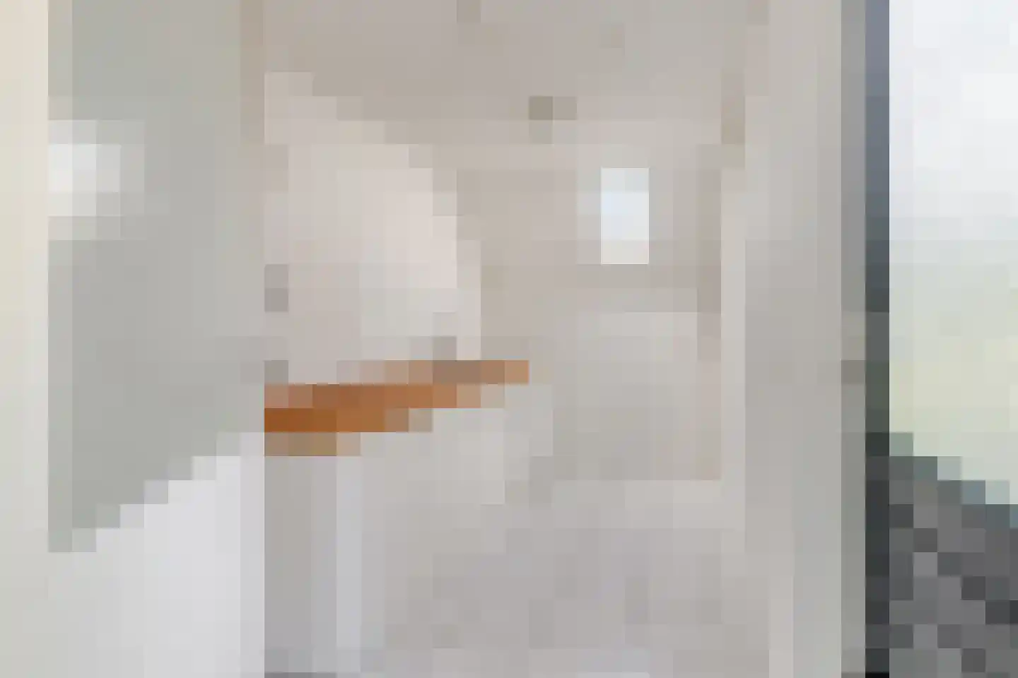 Rademakerslaan 7 Voorthuizen thumbnail 16
