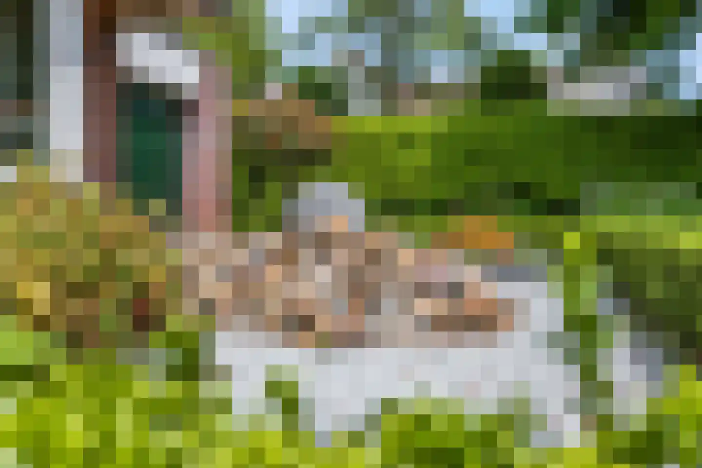 Rademakerslaan 7 Voorthuizen thumbnail 7