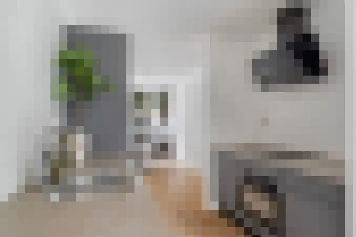 Raden Adjeng Kartinistraat 15 Amsterdam thumbnail 17