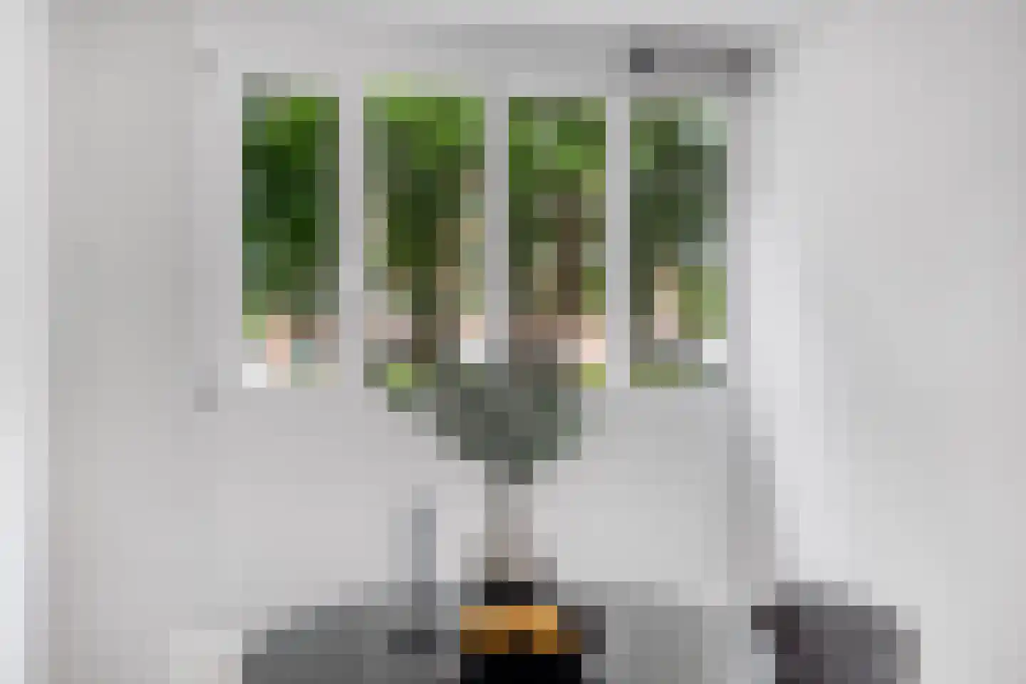 Raden Adjeng Kartinistraat 15 Amsterdam thumbnail 20