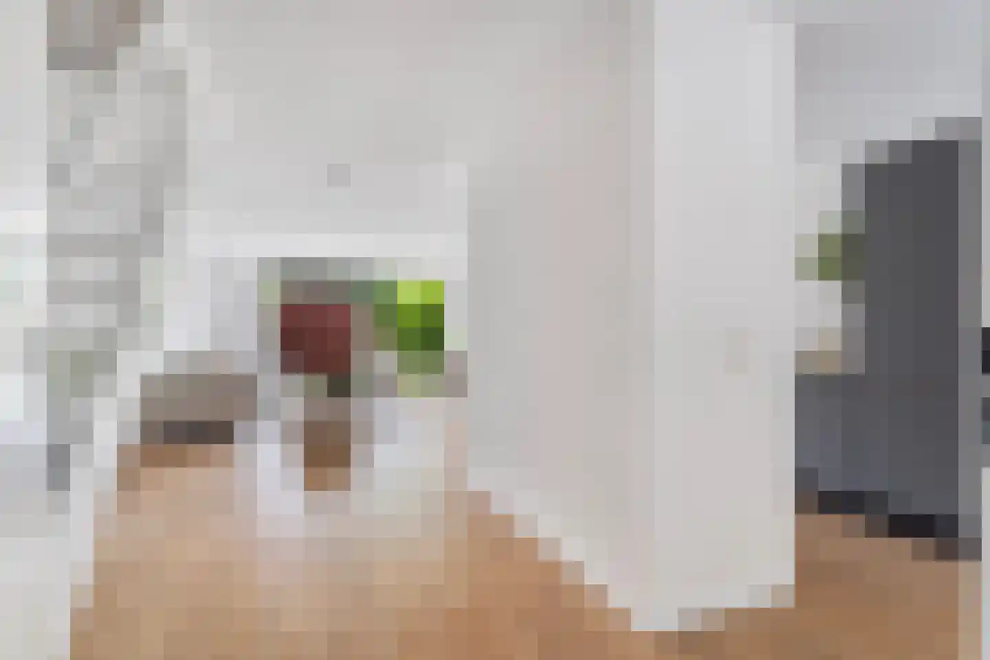 Raden Adjeng Kartinistraat 15 Amsterdam thumbnail 25