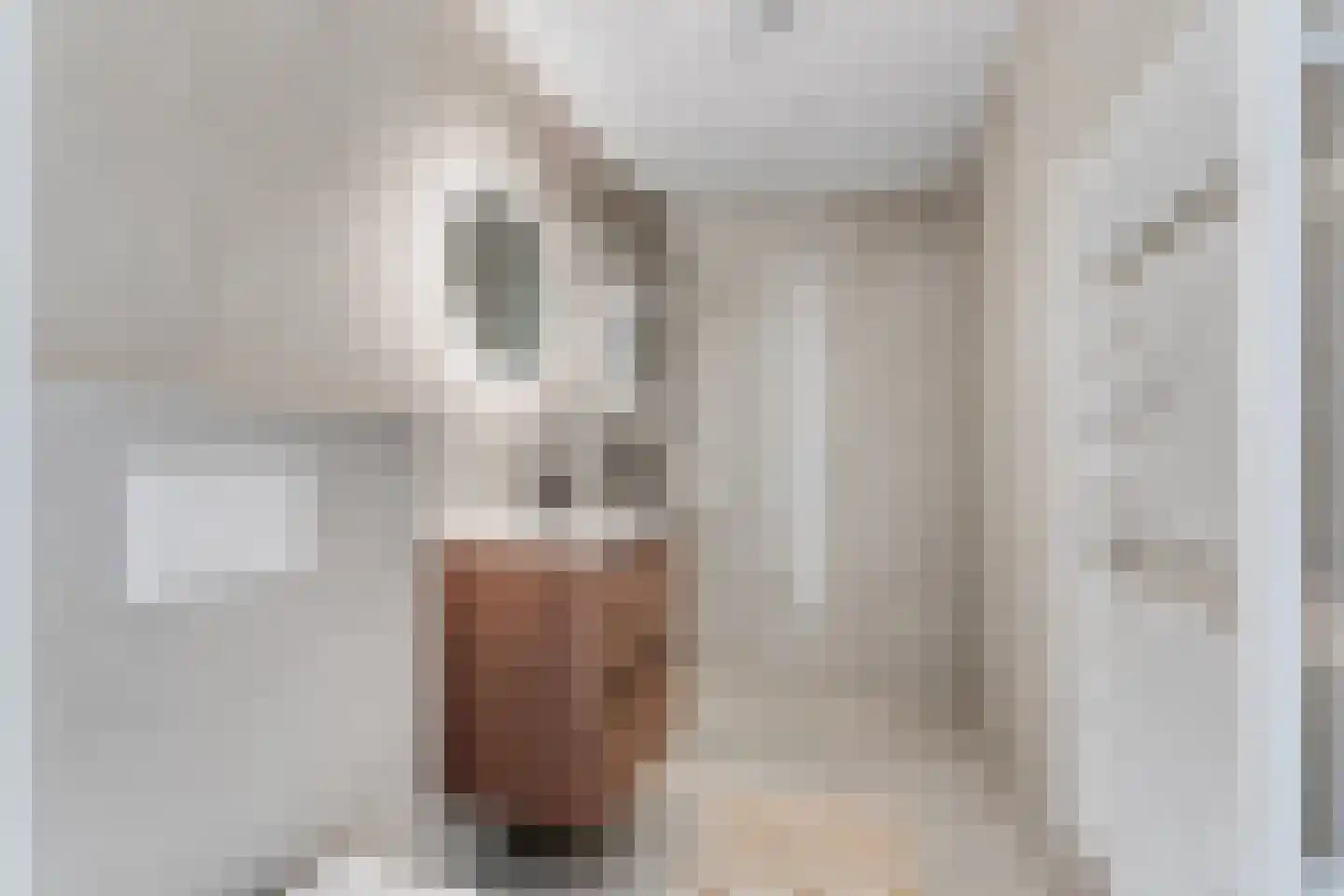 Raden Adjeng Kartinistraat 15 Amsterdam thumbnail 34