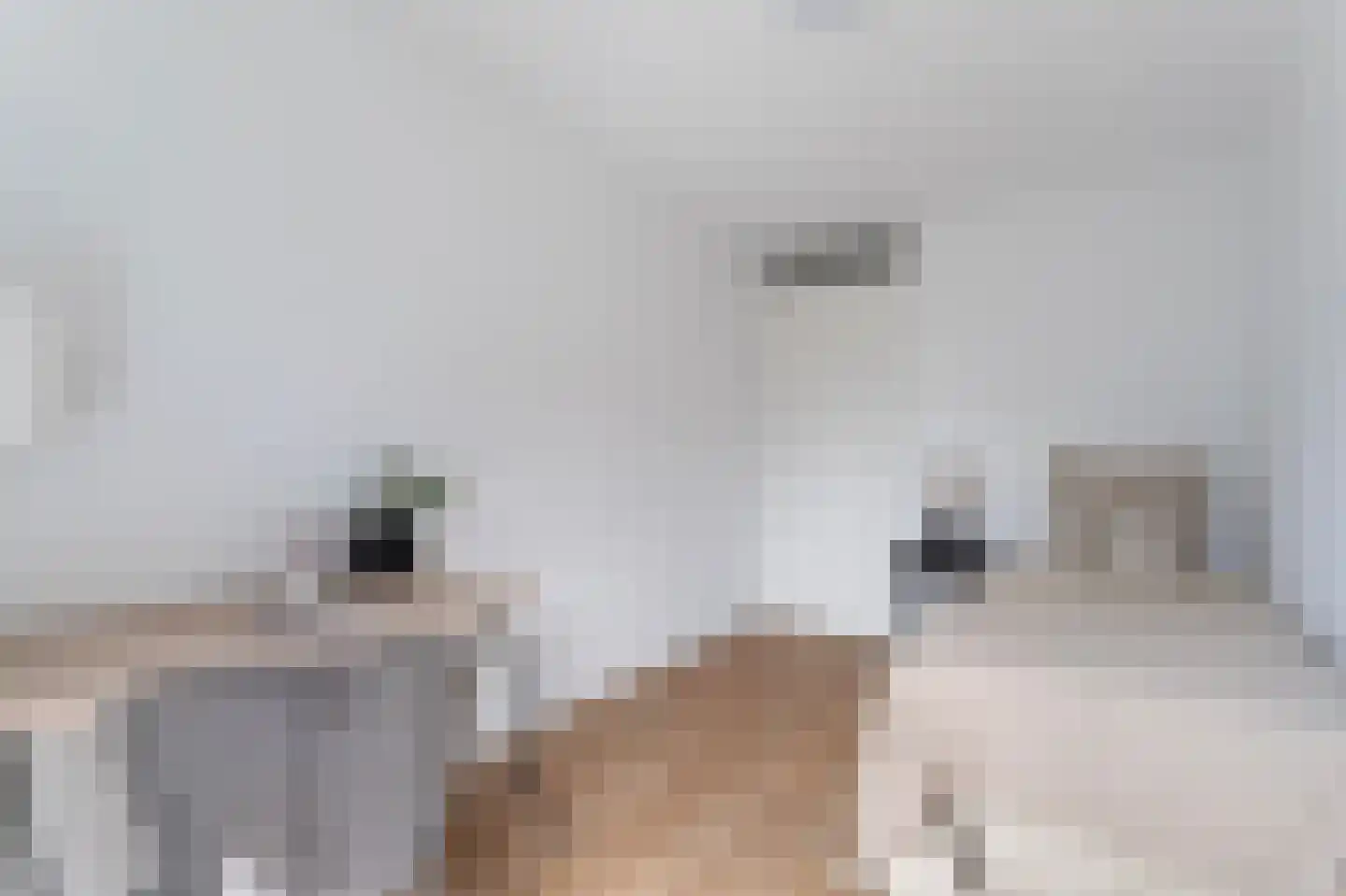 Raden Adjeng Kartinistraat 15 Amsterdam thumbnail 38