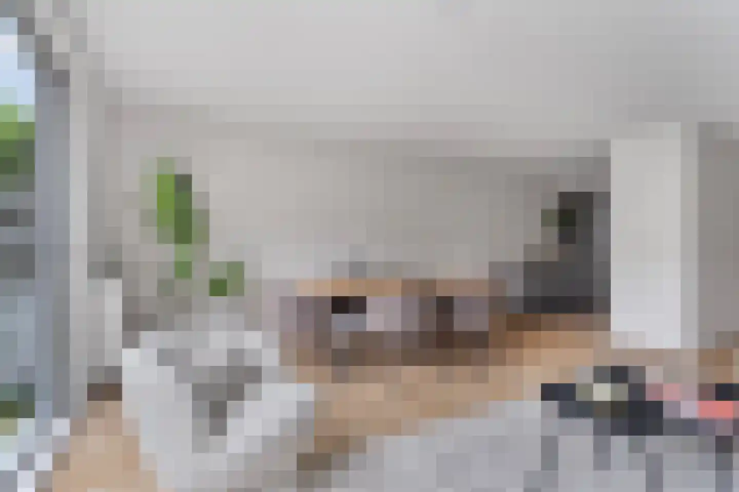 Raden Adjeng Kartinistraat 15 Amsterdam thumbnail 4